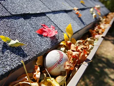 gutter cleaning fort collins